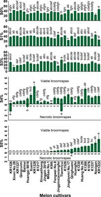 Phenotypic and histological analyses on the resistance of melon to Phelipanche aegyptiaca